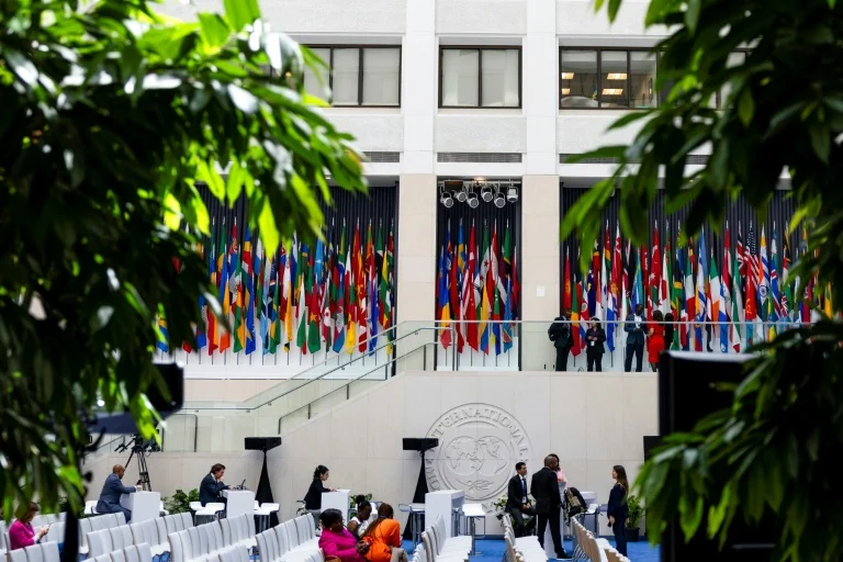 El FMI sugiere a Argentina un préstamo de 1.000 millones para estabilizar su economía