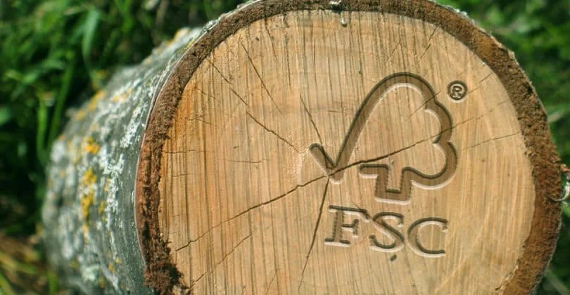 El impacto de FSC España: 25 años transformando la gestión forestal en el país