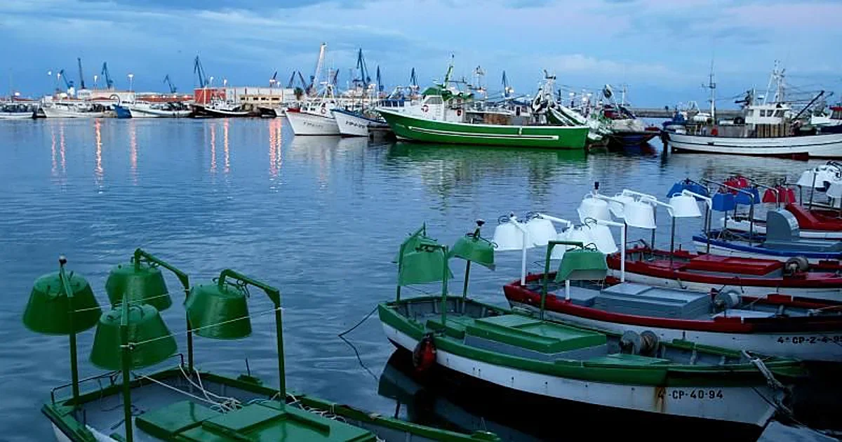 La venta de la Terminal Marítima del Grao podría transformar el sector logístico en Valencia