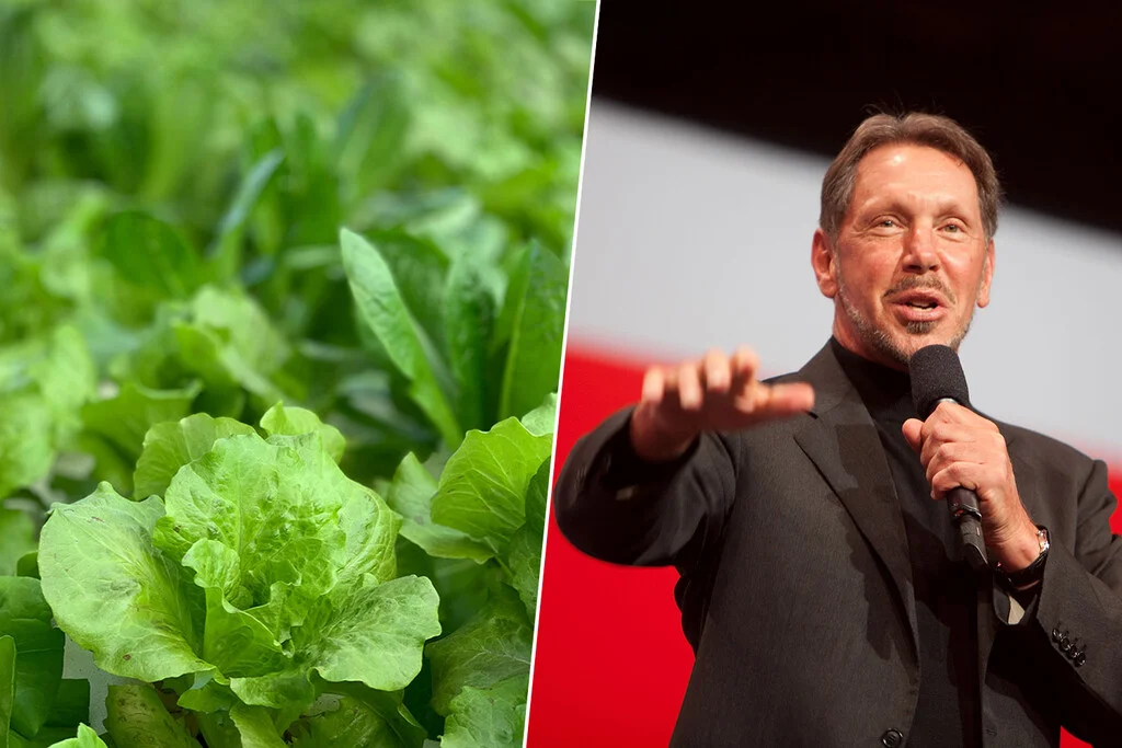Larry Ellison invierte 500 millones en cultivos de lechugas para autosuficiencia alimentaria