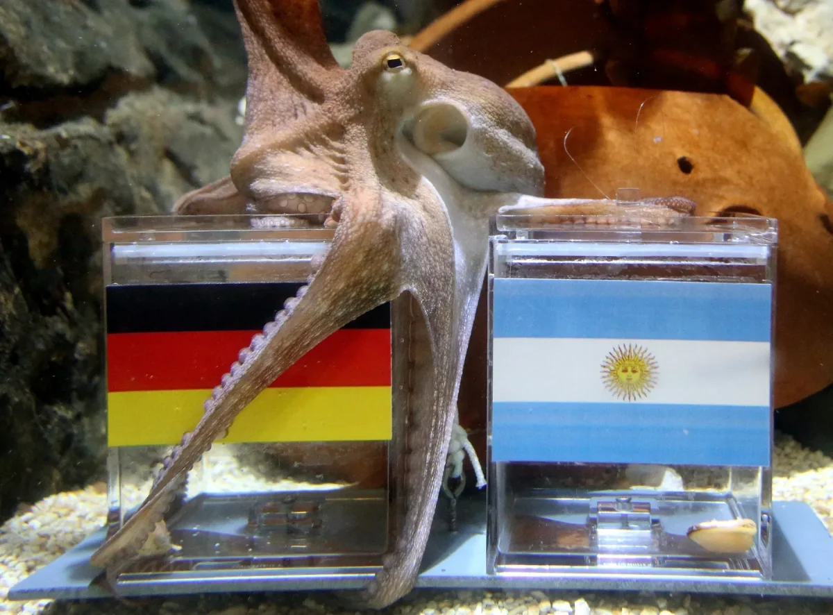 Lecciones del Mundial: estrategias financieras que transforman empresas y sectores