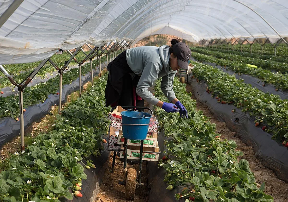 Uno de cada diez asalariados verá un aumento en su salario gracias al SMI